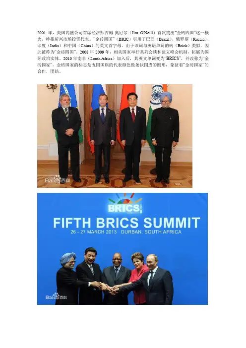 金砖国家 展望五国 金猪四国