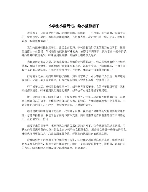 小学生小猫周记：给小猫剪胡子