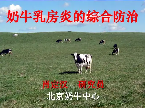 奶牛乳房炎综合防治精品PPT课件