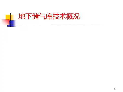 地下储气库技术--PPT课件