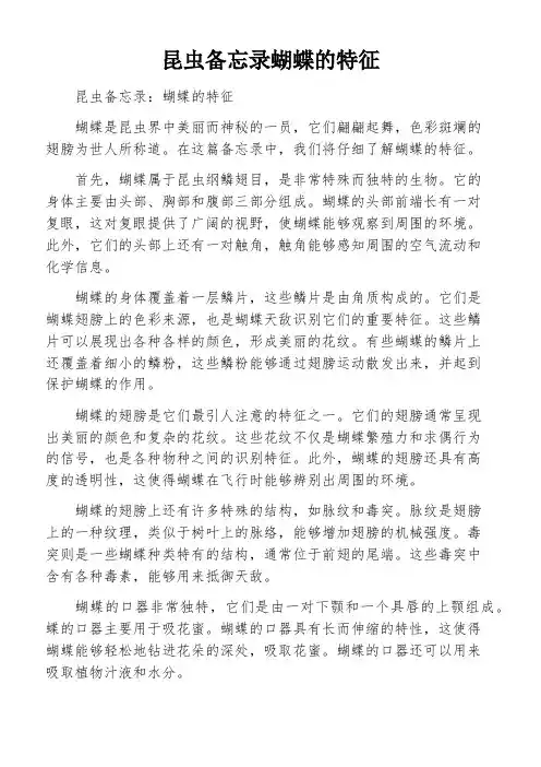 昆虫备忘录蝴蝶的特征