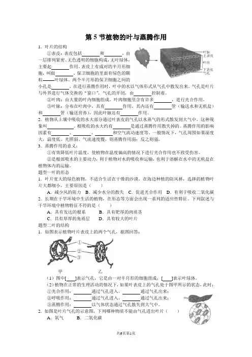 浙教版科学八年级下册第四章第五节-植物的叶与蒸腾作用-一课时练习( 含答案)