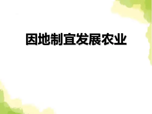 因地制宜发展农业
