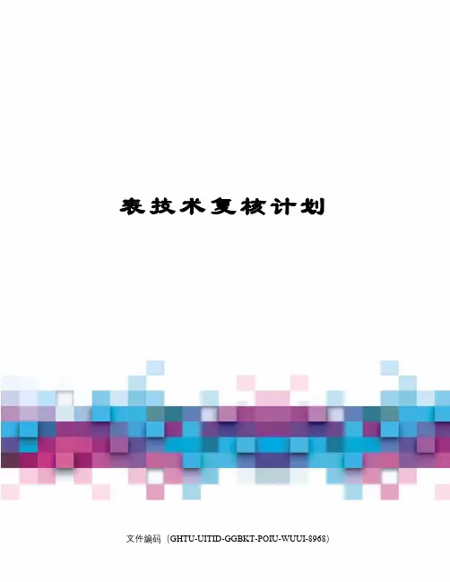 表技术复核计划