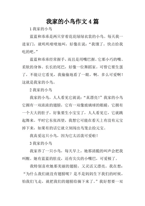我家的小鸟作文4篇