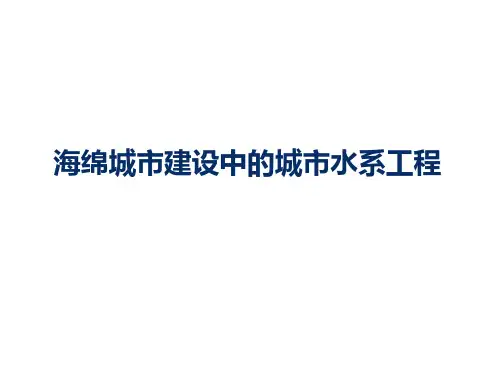 海绵城市建设中的城市水系工程规划设计方案及案例