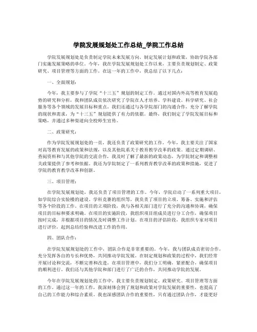 学院发展规划处工作总结_学院工作总结
