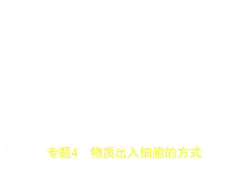 高考一轮复习 专题4 物质出入细胞的方式(课件)