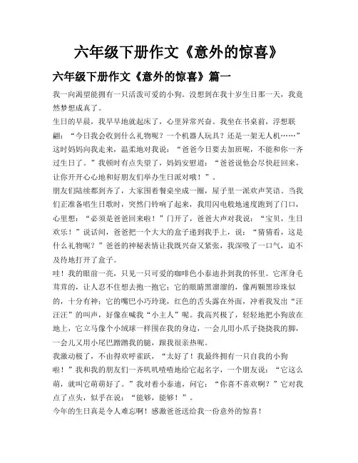 六年级下册作文《意外的惊喜》