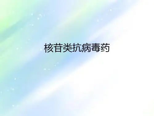 核苷类抗病毒药ppt
