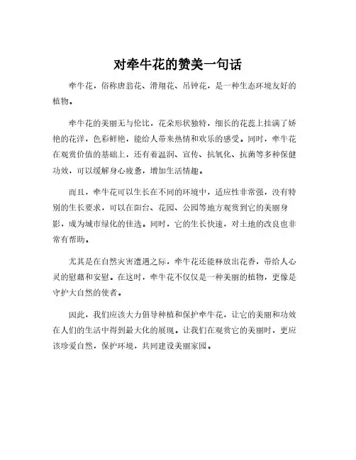 对牵牛花的赞美一句话