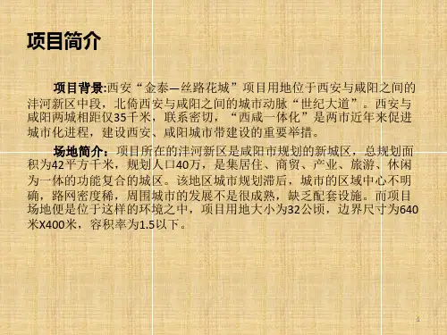 西安金泰丝路花城