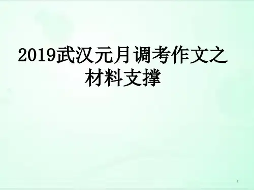 2019武汉元月调考作文之材料支撑