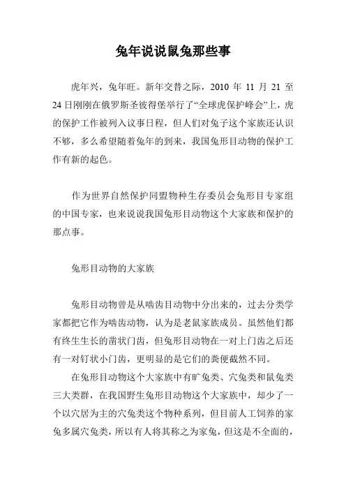 兔年说说鼠兔那些事