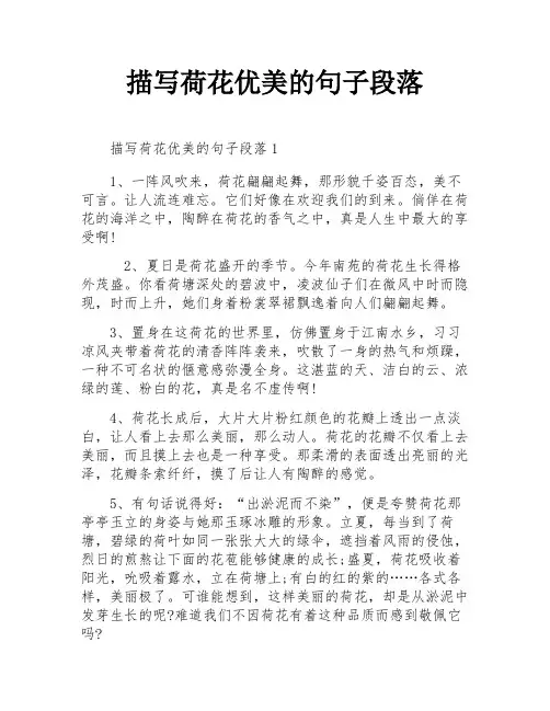 描写荷花优美的句子段落