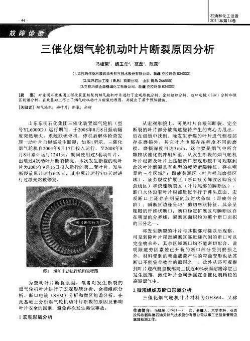 腰腿痛疾病的非融合治疗手段