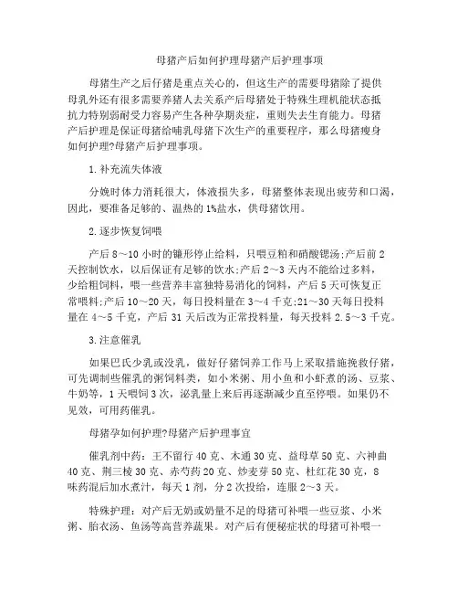 母猪产后如何护理母猪产后护理事项