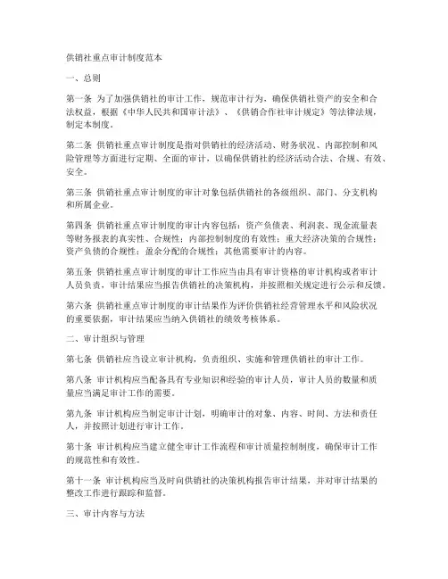 供销社重点审计制度范本