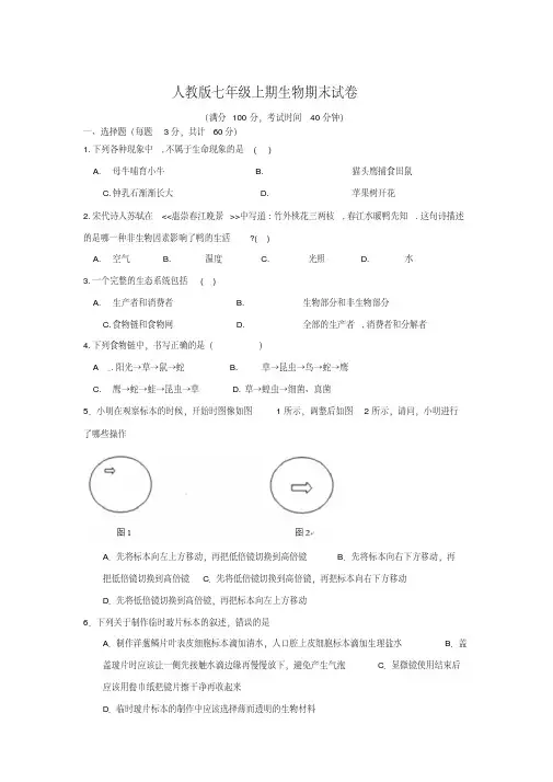 2020年人教版七年级上期生物期末试卷及答案