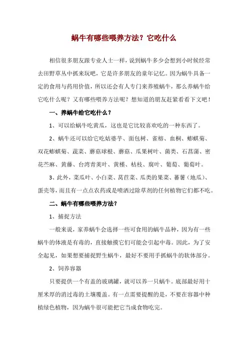 蜗牛有哪些喂养方法？它吃什么