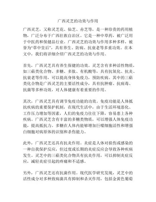 广西灵芝的功效与作用