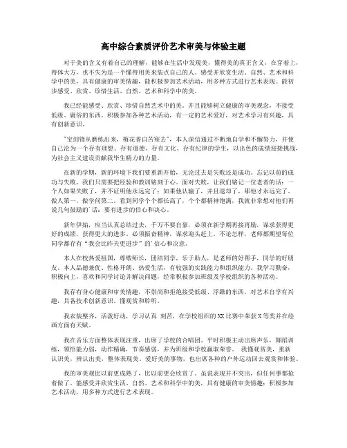 高中综合素质评价艺术审美与体验主题