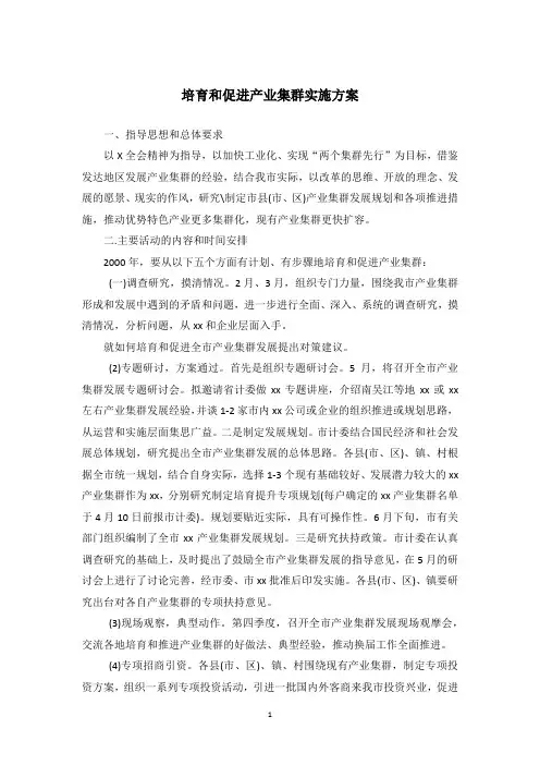 培育和促进产业集群实施方案