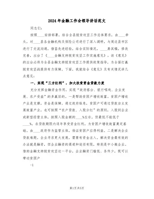 2024年金融工作会领导讲话范文(二篇)