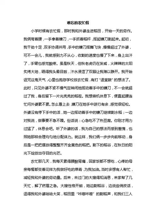 难忘的农忙假350字作文