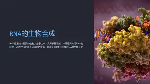 《RNA的生物合成》课件
