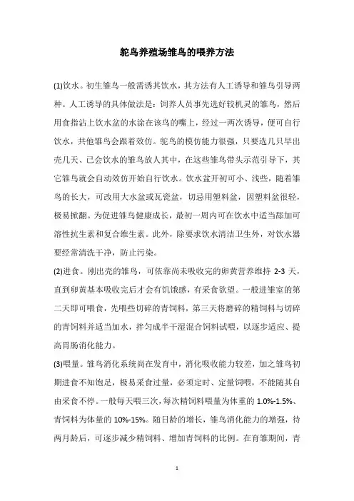 鸵鸟养殖场雏鸟的喂养方法