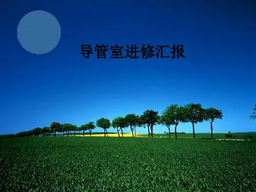 导管室进修汇报ppt课件