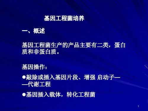基因工程菌培养