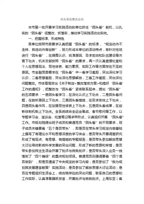 回头看促整改总结_工作总结范文_