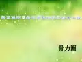 骨力圈