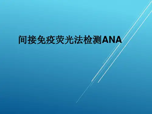 荧光免疫技术测定——间接免疫荧光法检测ANA