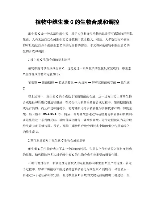 植物中维生素C的生物合成和调控