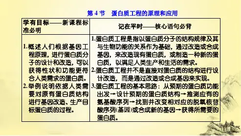 第3章  基因工程：第4节 蛋白质工程的原理和应用
