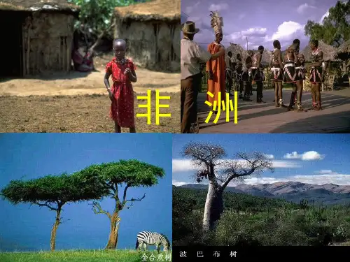 非洲和埃及 ppt课件