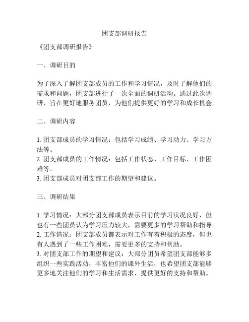 团支部调研报告