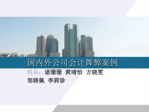 国内外公司会计舞弊案例