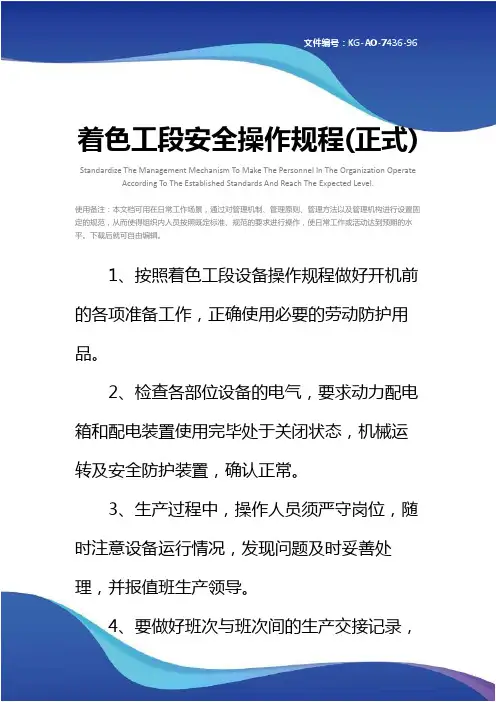 着色工段安全操作规程(正式)