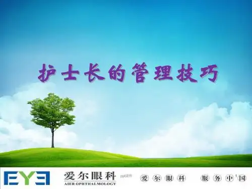 护士长管理技巧  ppt课件