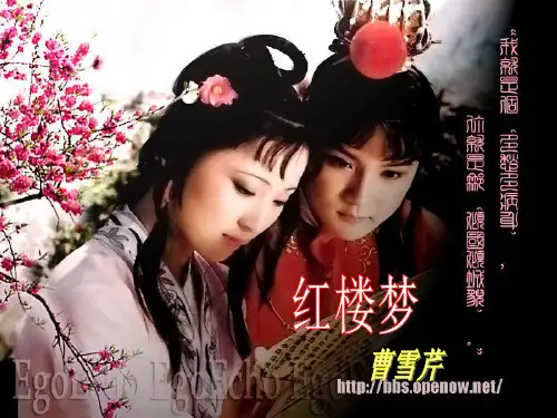 宝玉挨打(优秀实用公开课)(课堂PPT)