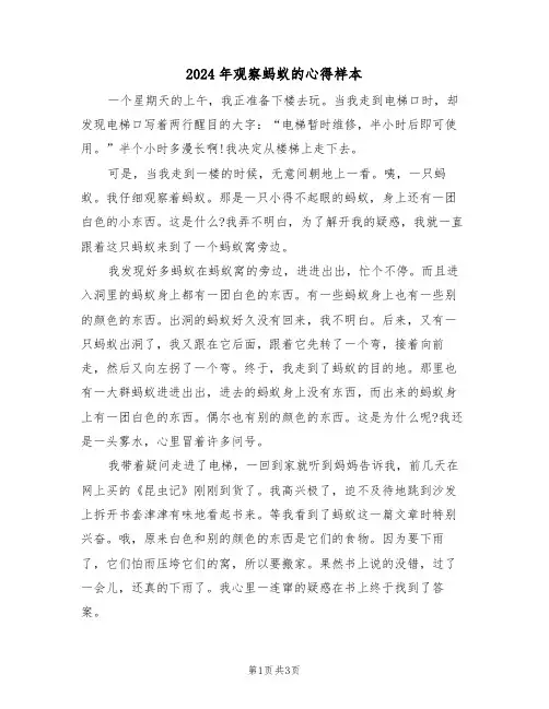2024年观察蚂蚁的心得样本(2篇)