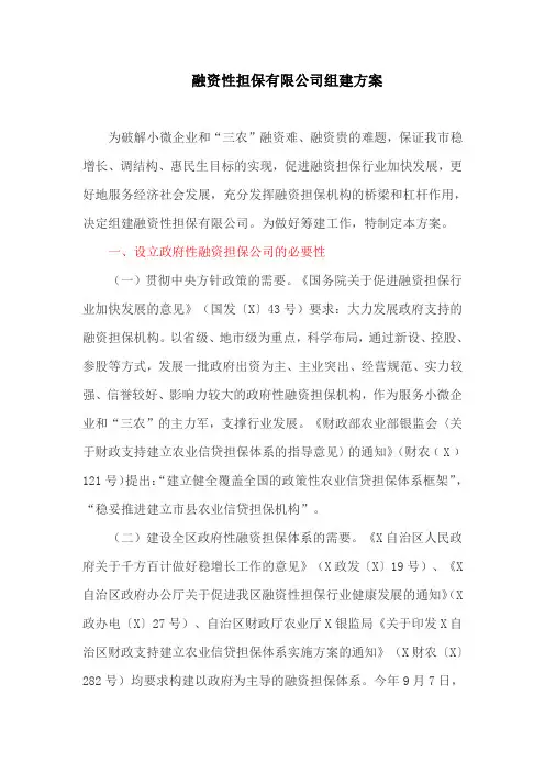 融资性担保有限公司组建方案