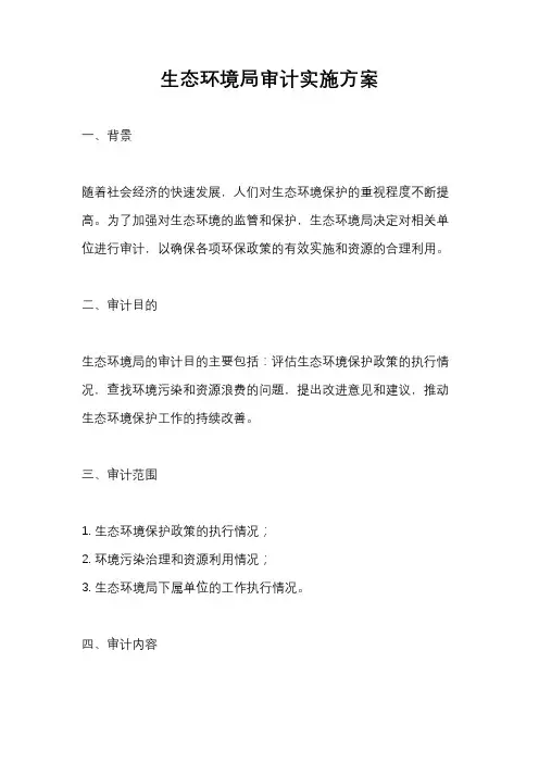 生态环境局审计实施方案