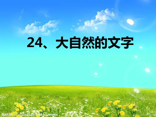 苏教版小学语文六年级上册《大自然的文字》详解PPT课件