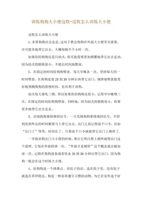 训练狗狗大小便边牧-边牧怎么训练大小便