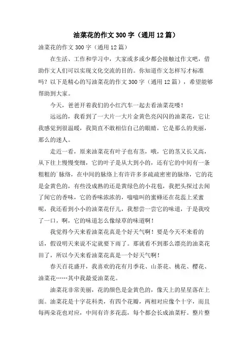 油菜花的作文300字(通用12篇)